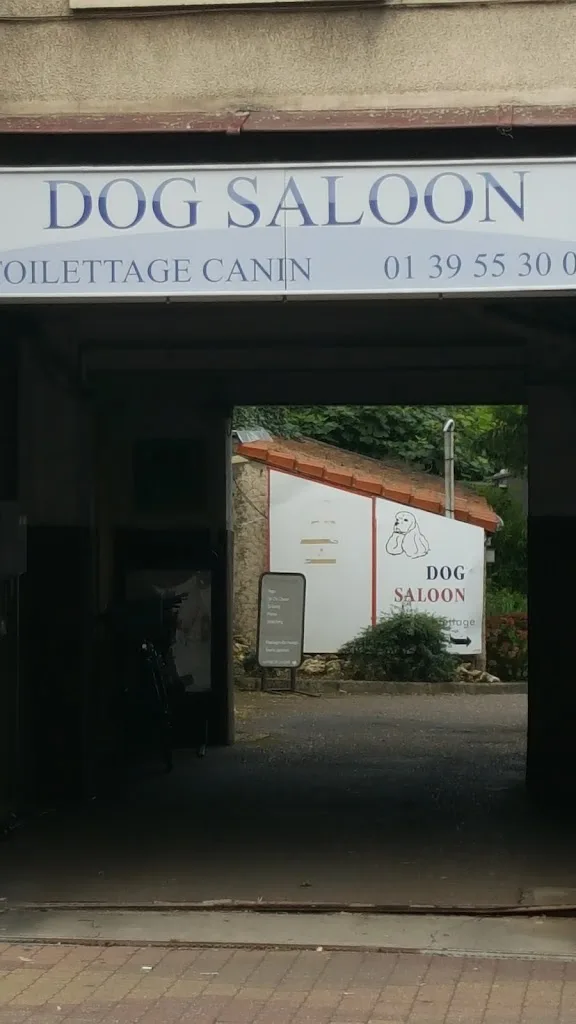 Dog Saloon - photo 2