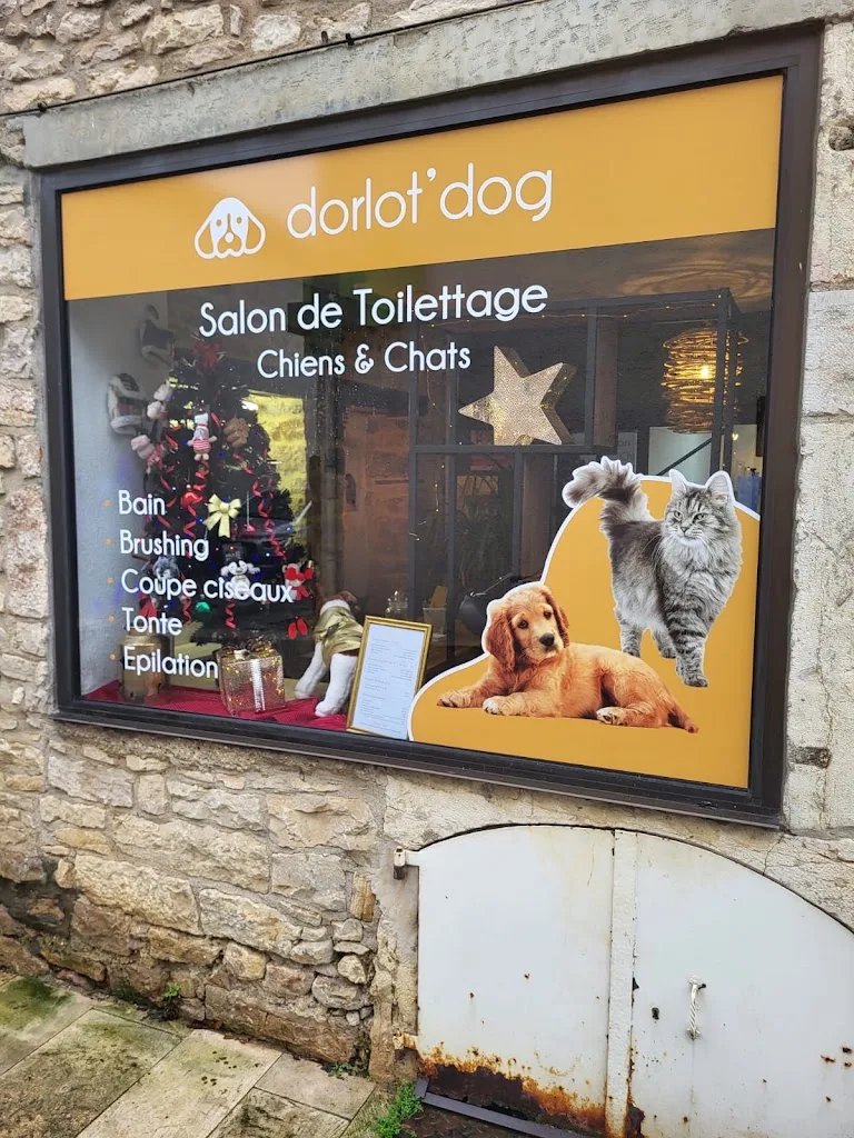Dorlot' Dog - photo 2