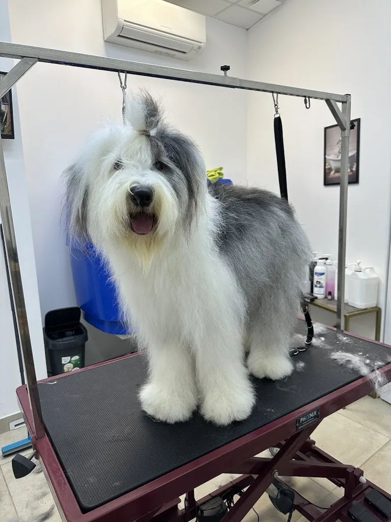 Just Dog - photo 3