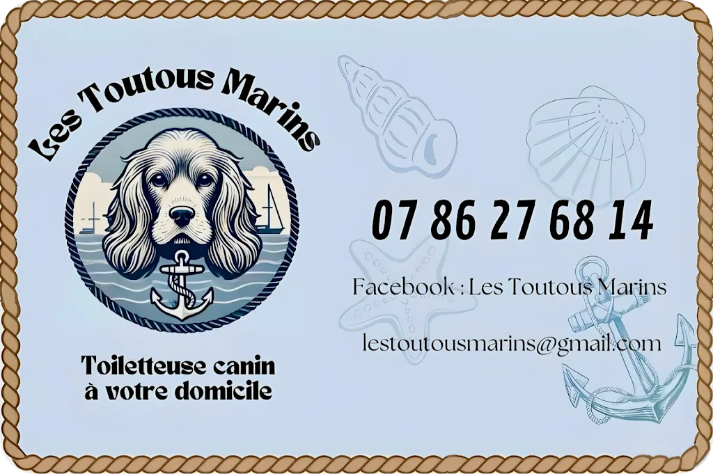 Les Toutous Marins - toilettage à domicile - photo 3