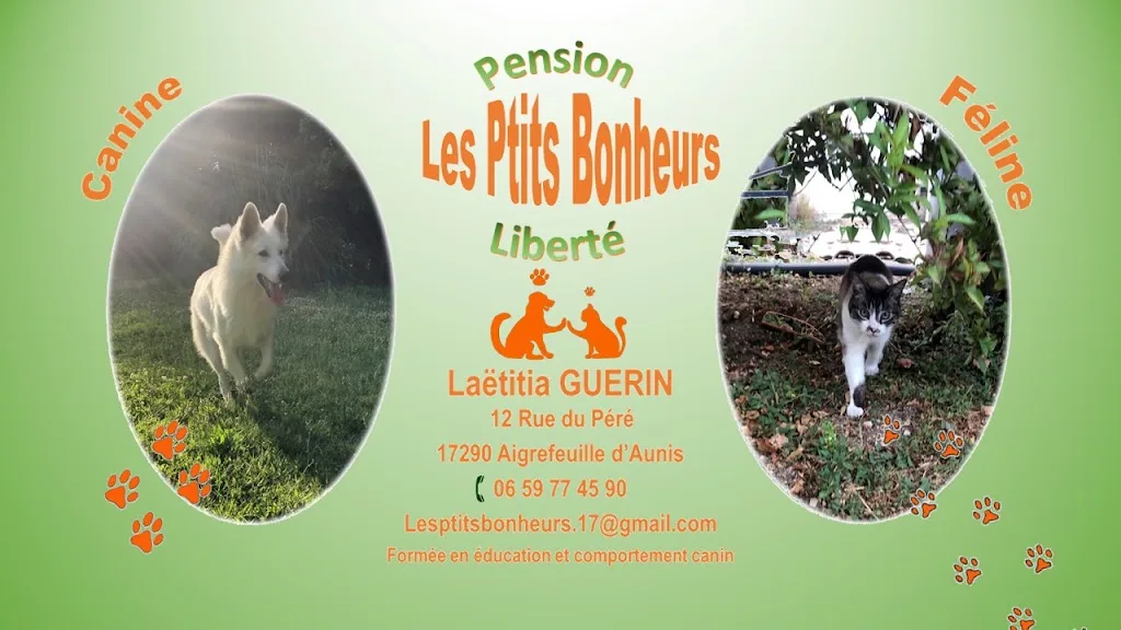 Domaine de Château Milan - Pension chiens & chats La Rochelle - photo 3