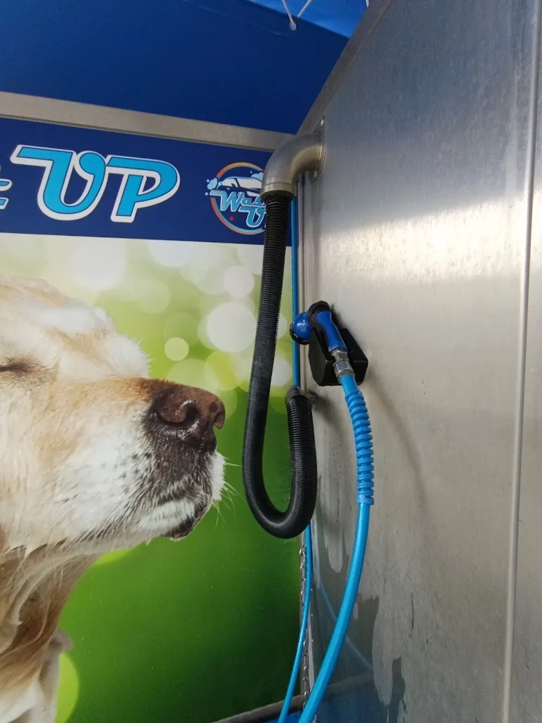 Dog wash - photo 2