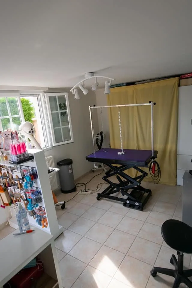 L'atelier de Julius - photo 2
