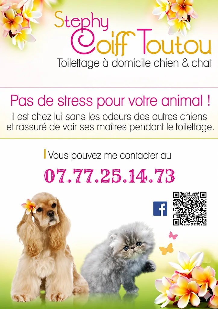 Stephy coiff toutou - photo 2