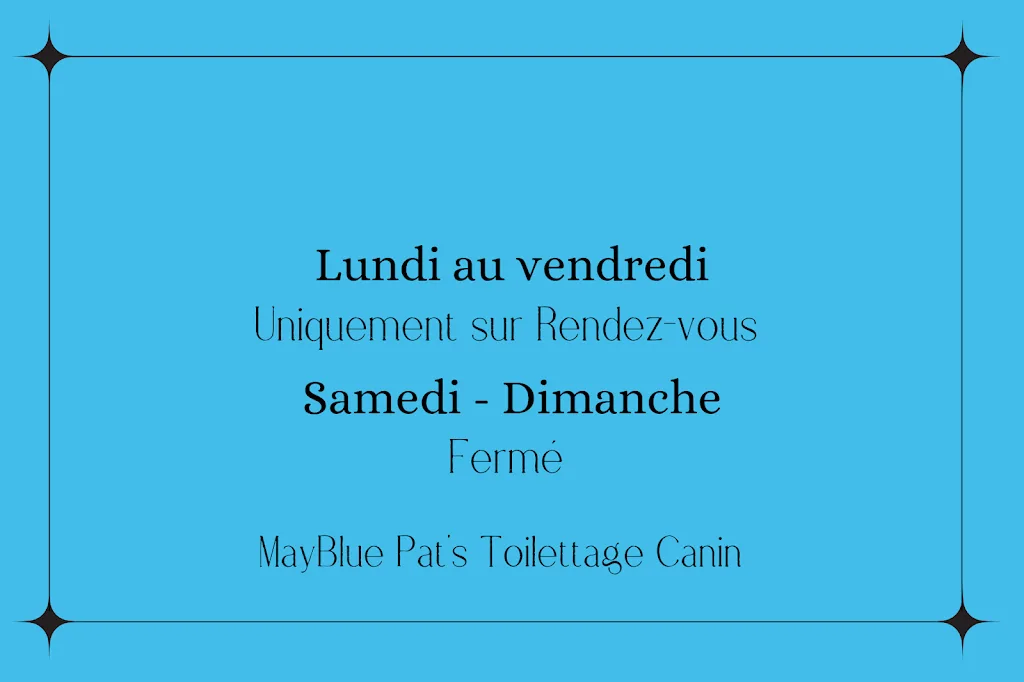 MayBlue Pat's Toilettage Chien à votre Domicile Ste Pazanne - photo 3