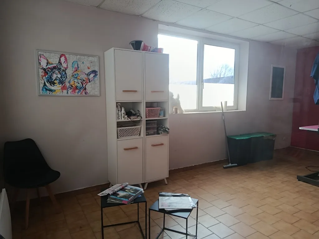 Au p'tit toiletteur - photo 2