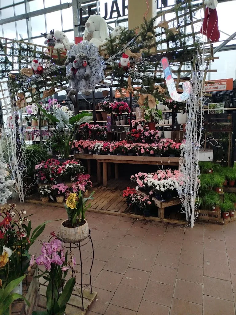 JARDILAND - photo 3