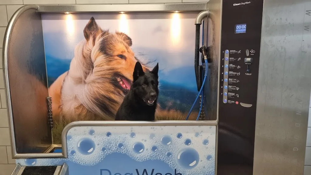 Dog Wash Canidelite - photo 2