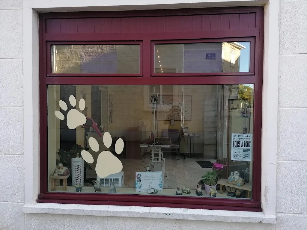 Le Cabotin - photo 1