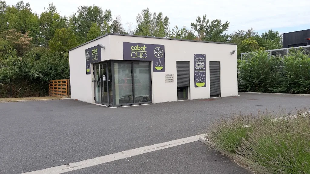 CATH'PATTES - Toilettage canin Loire 42 - photo 2