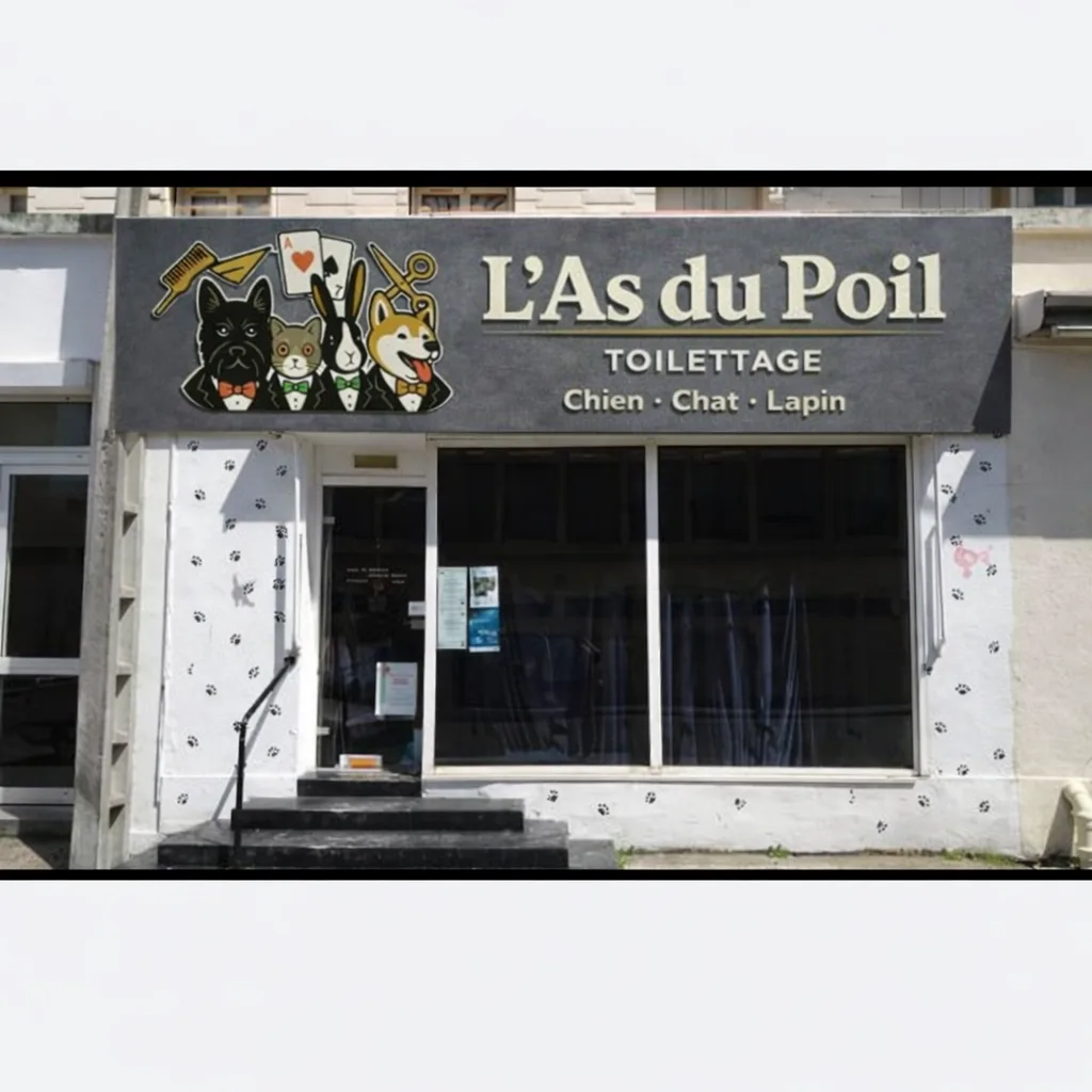 L'as du poil toilettage le havre - photo 3