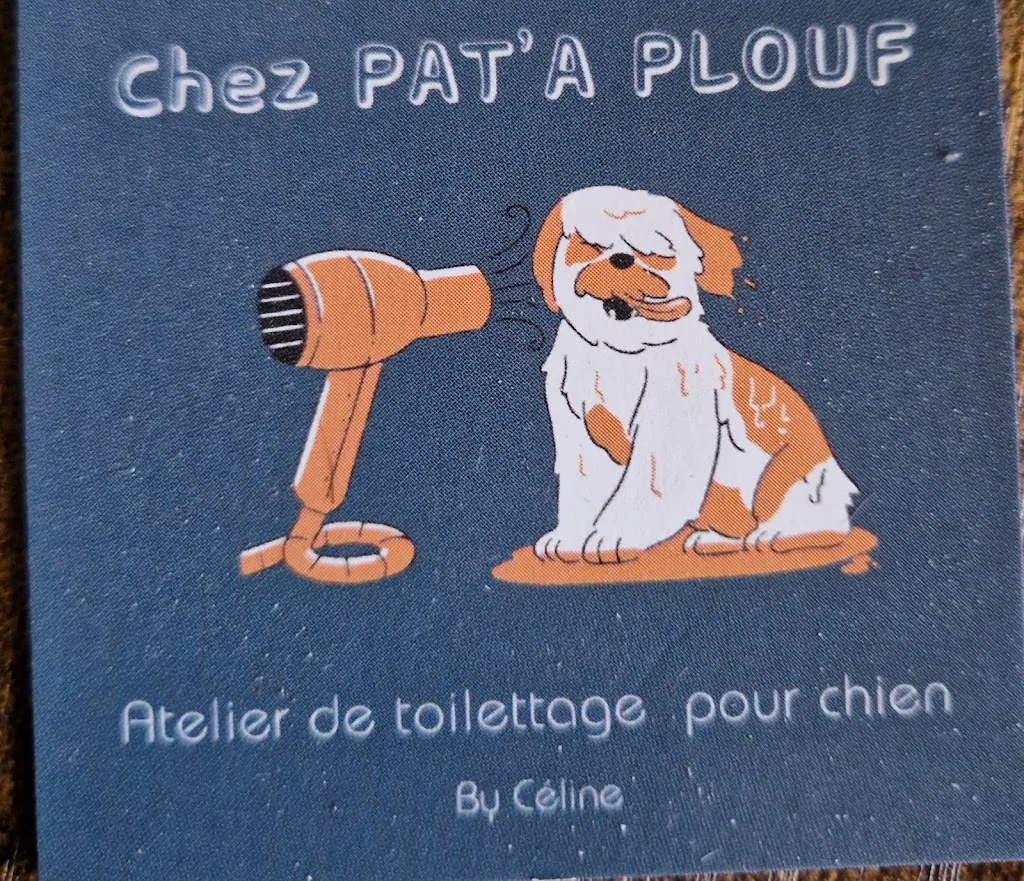 Salon Toilettage Pat'à plouf Le Mayet de Montagne - photo 1