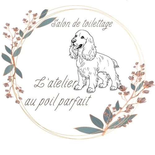 L’atelier au poil parfait - photo 1