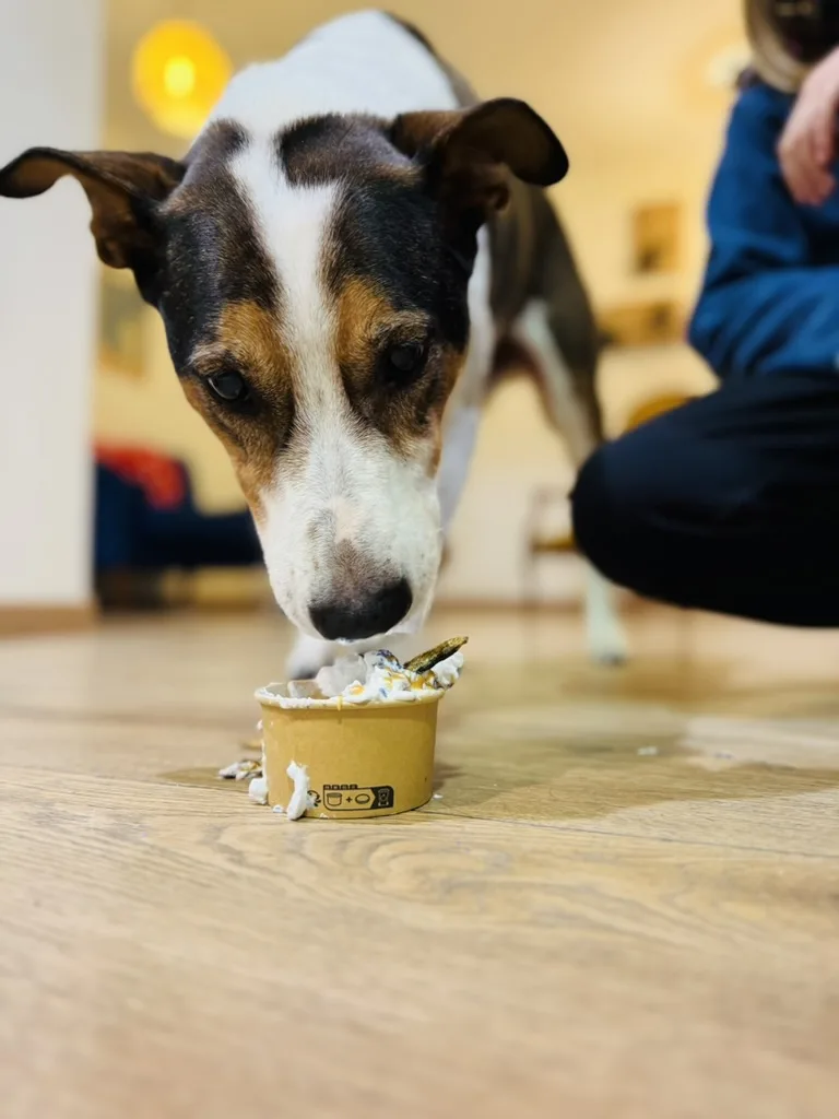 Uni’tidog - photo 3