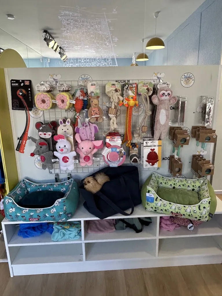 Pom d'Azur Paris - Toiletteur Chien - Traitement Alopécie du Spitz - Accessoires pour Chiens - photo 1