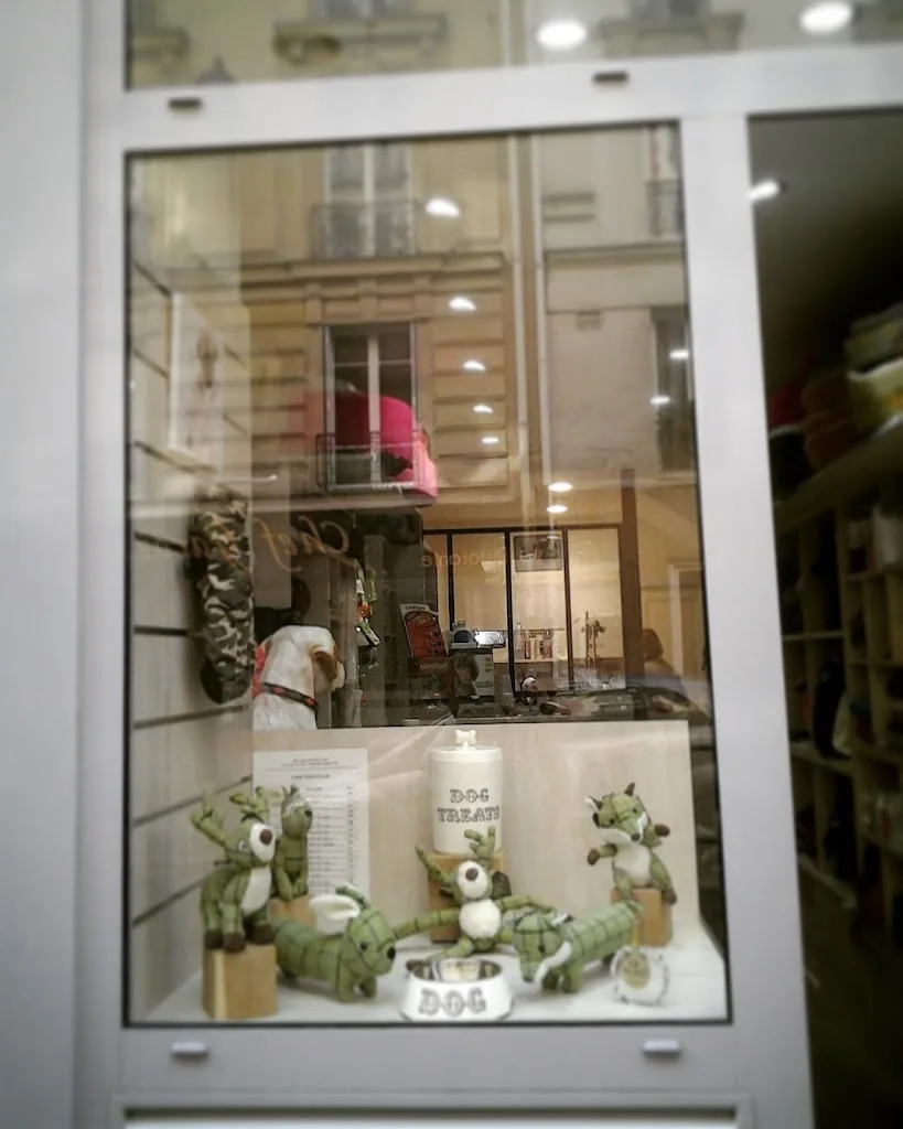 Dog Store - photo 1