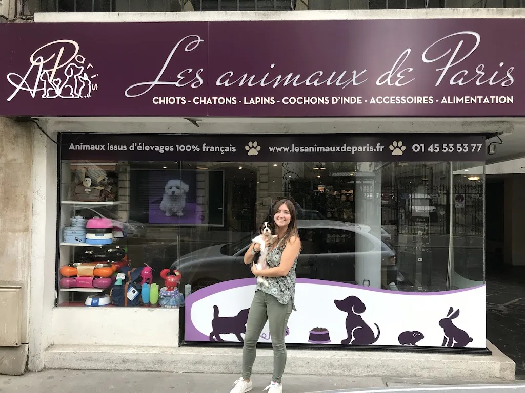 Dog Store - photo 2