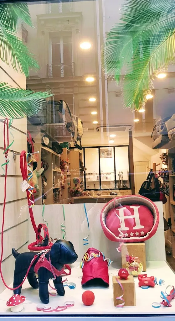 Dog Store - photo 3