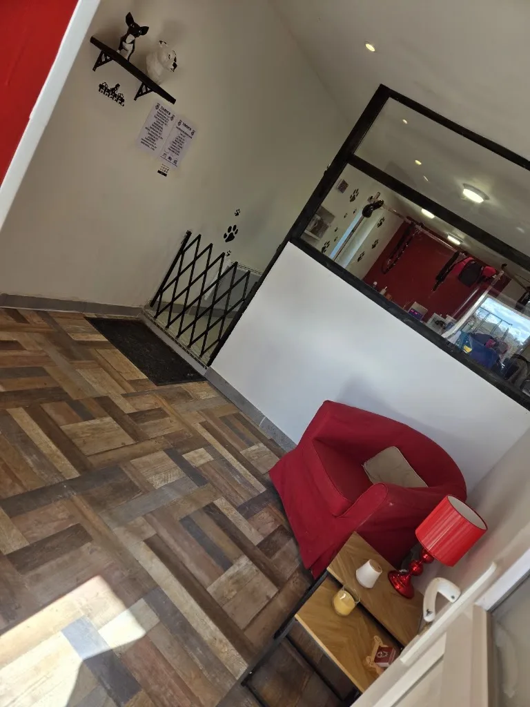 Le salon des wouf - photo 2