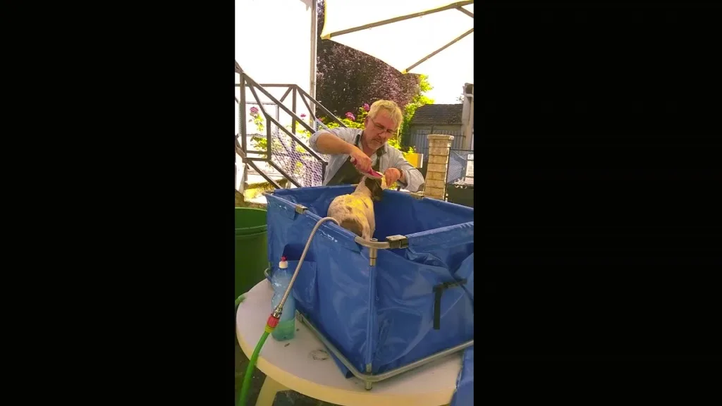 Jean Marc PEREZ / Toiletteur à Domicile - photo 2
