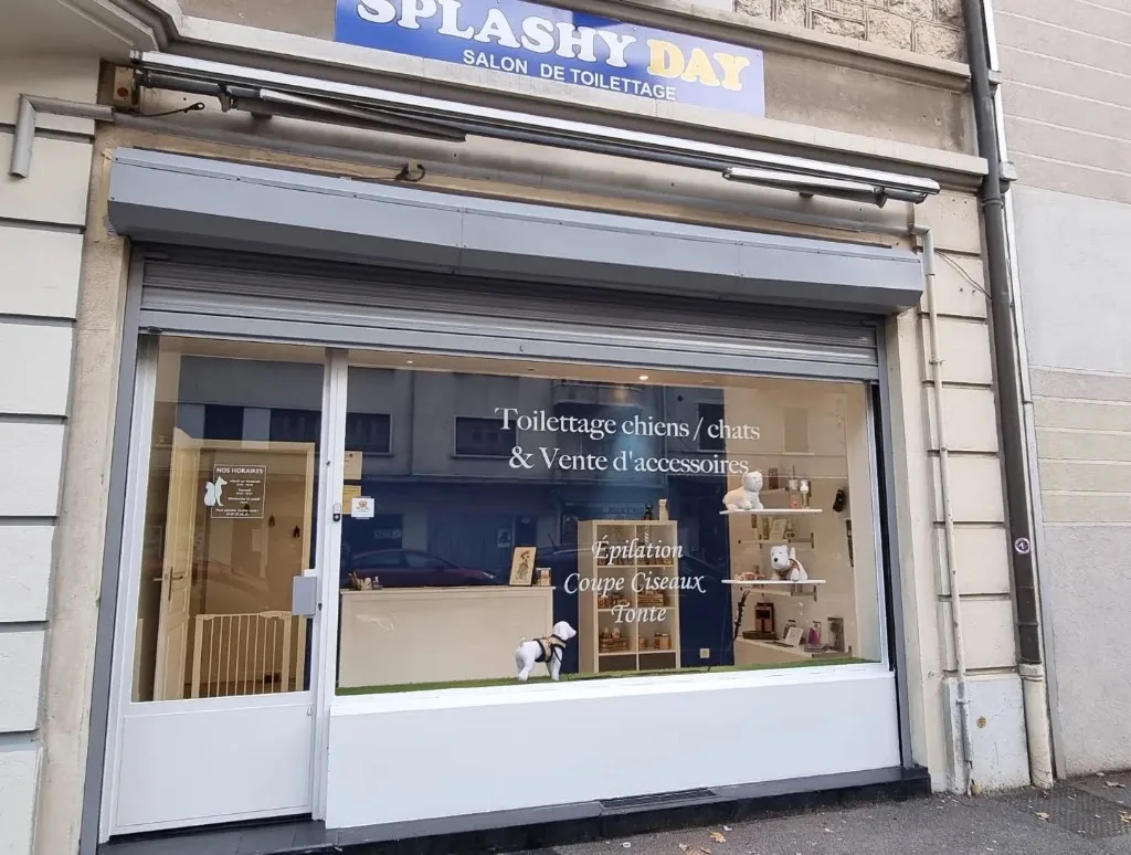 Splashy Day - photo 3