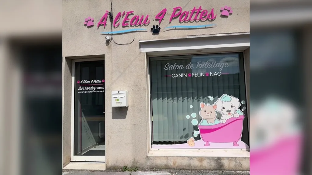 Patte Blanche - salon de toilettage canin et félin - photo 3
