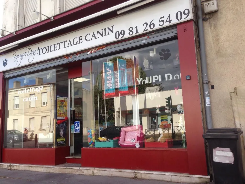 Toilettage Canin Youpi Dog - photo 2