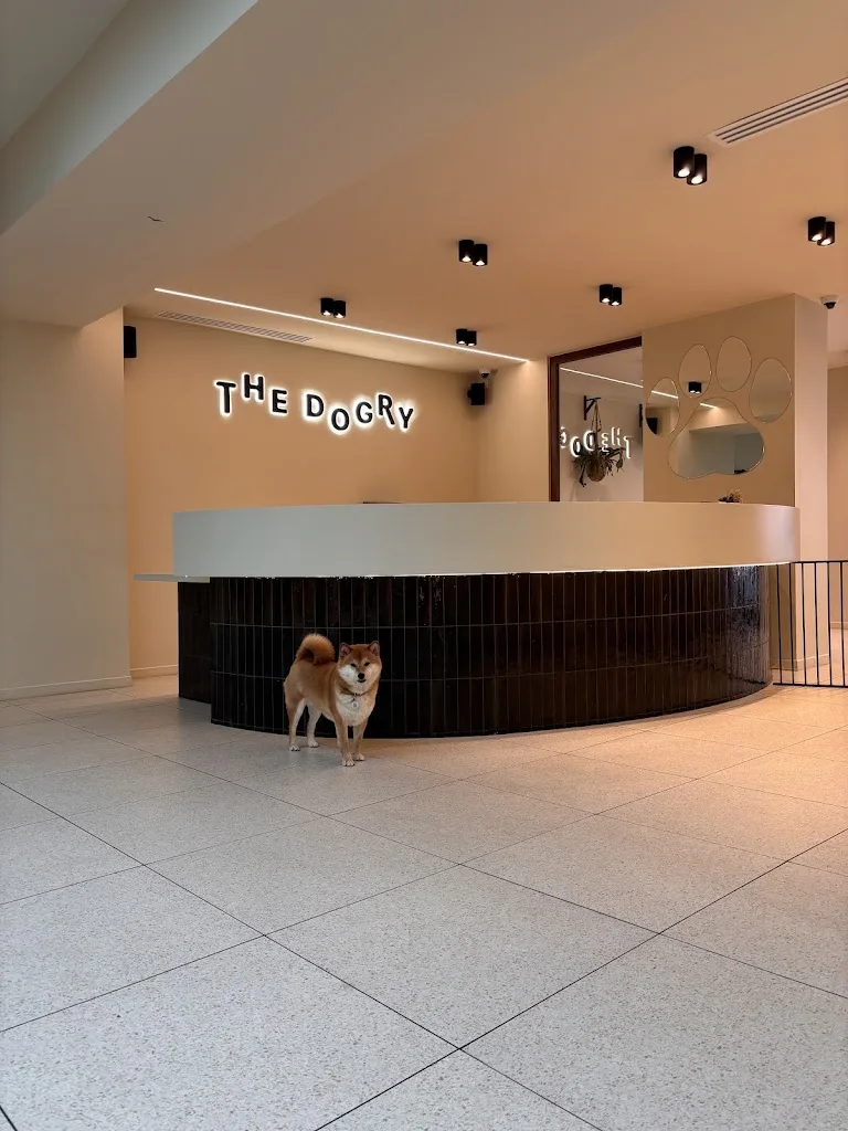 The Dogry - photo 2
