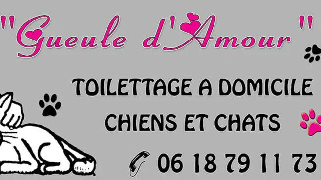 Gueule D'Amour Toilettage - photo 3