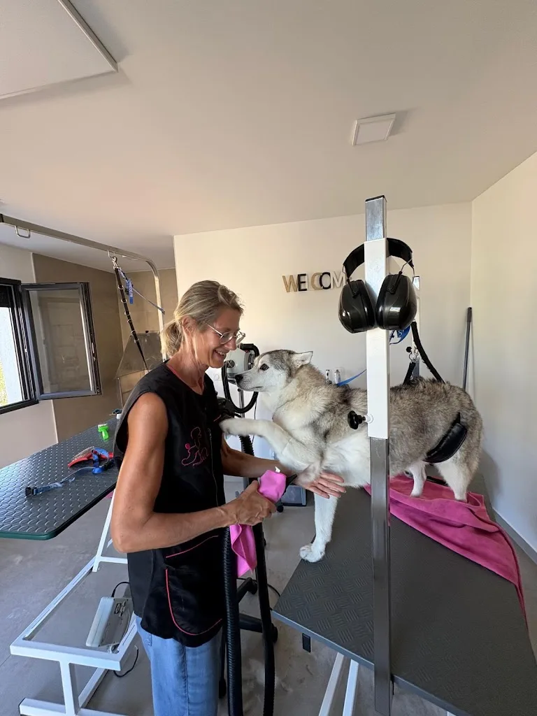 Caninement Votre - photo 1