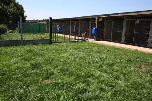 Salon de toilettage canin Point Vert Josselin - photo 3