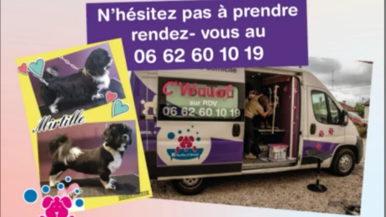 toutou c'wouaf - photo 2