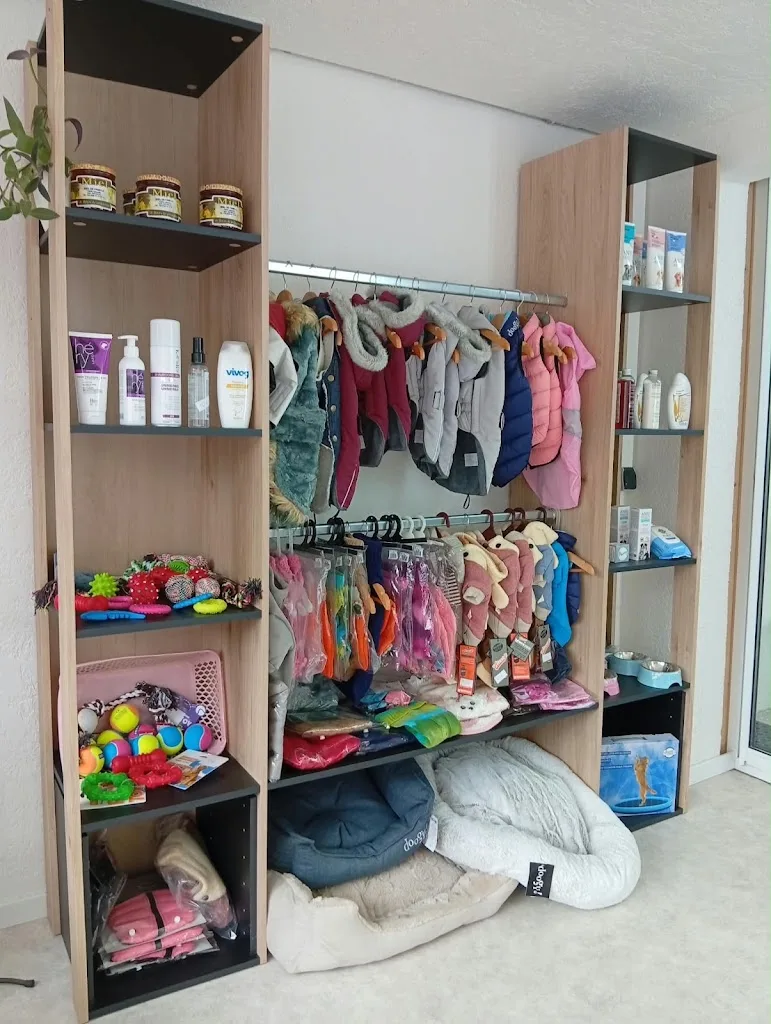 CHIC CANIN EI Salon de toilettage. - photo 3