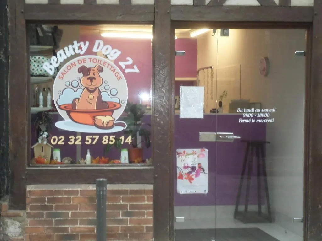 Beauty Dog 27 - photo 2
