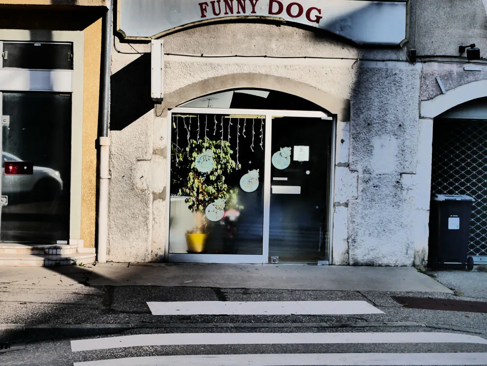Funny dog - photo 1