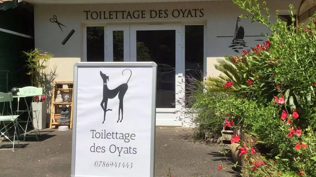 Toilettage des Oyats - photo 1