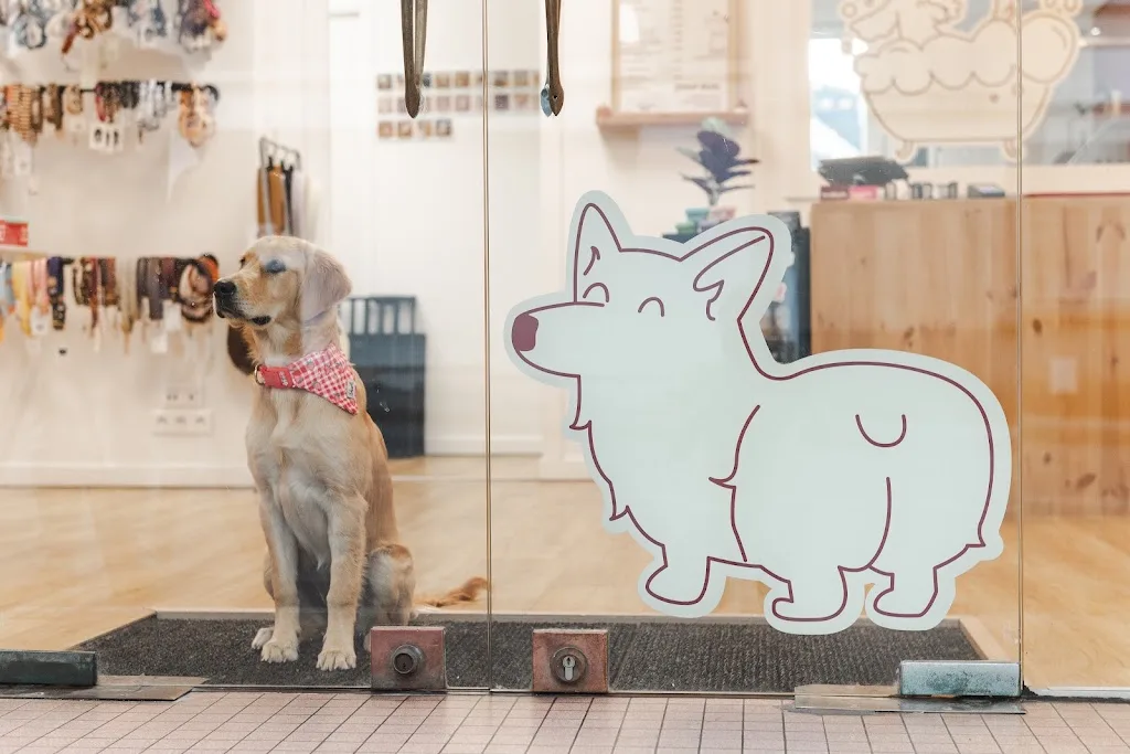 Les clébards - concept store canin - photo 2