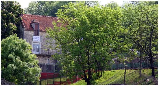 Hôtel DreamCaniCat - photo 2