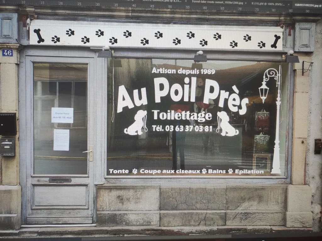 Au Poil près - photo 1