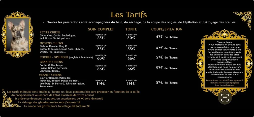Chez Cathy Toilettage - photo 2