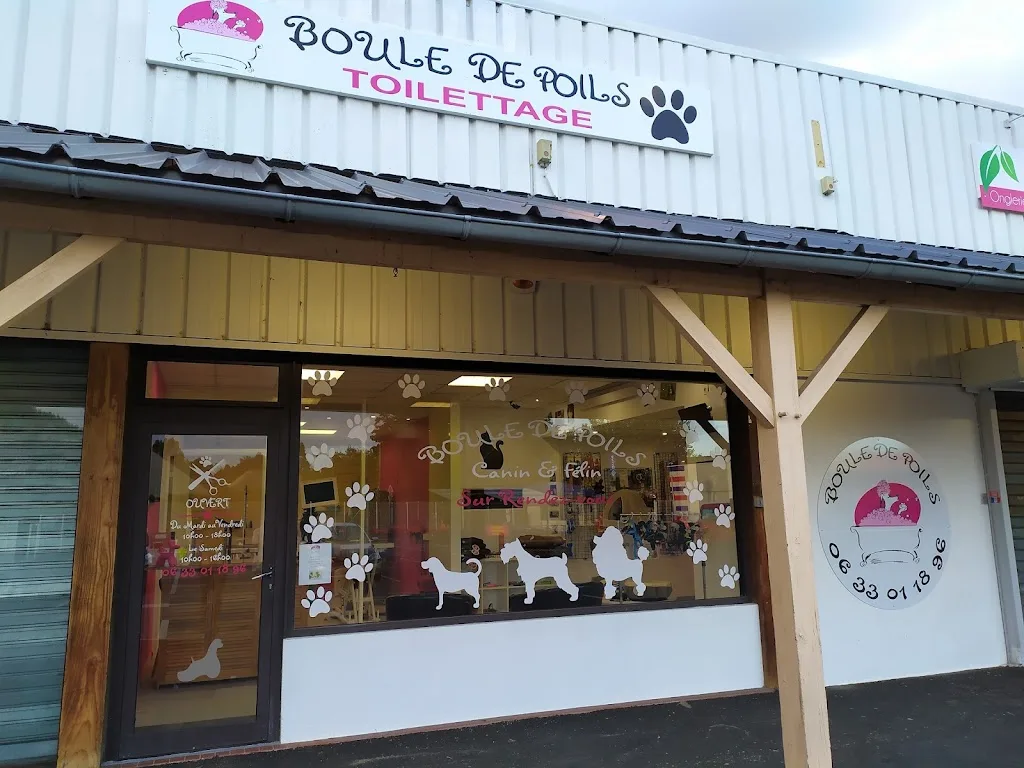 Angèle Toilettage Domicile - photo 2