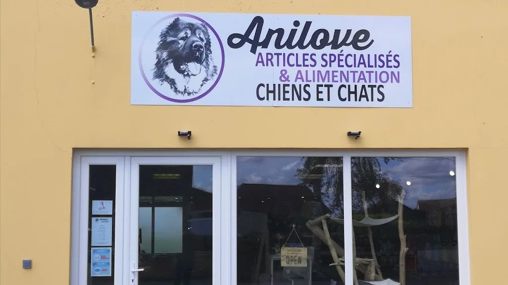 ANILOVE - photo 3
