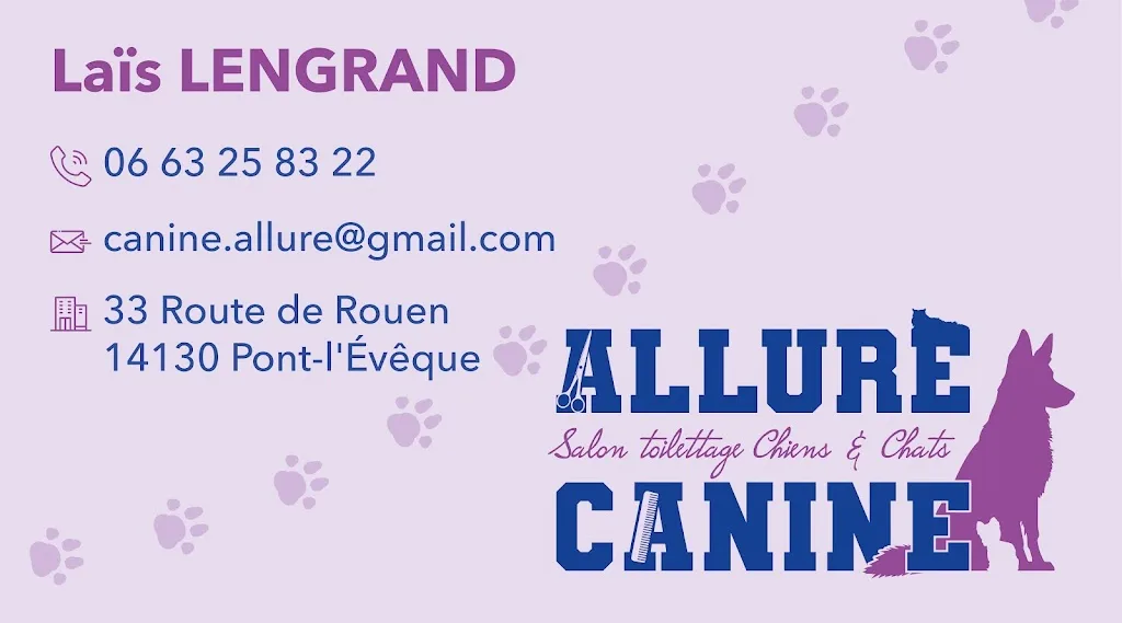 Allure Canine - photo 1