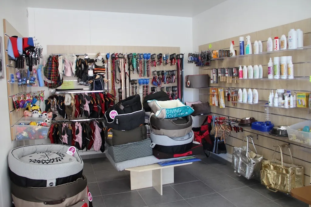 Espace Anavon - photo 2