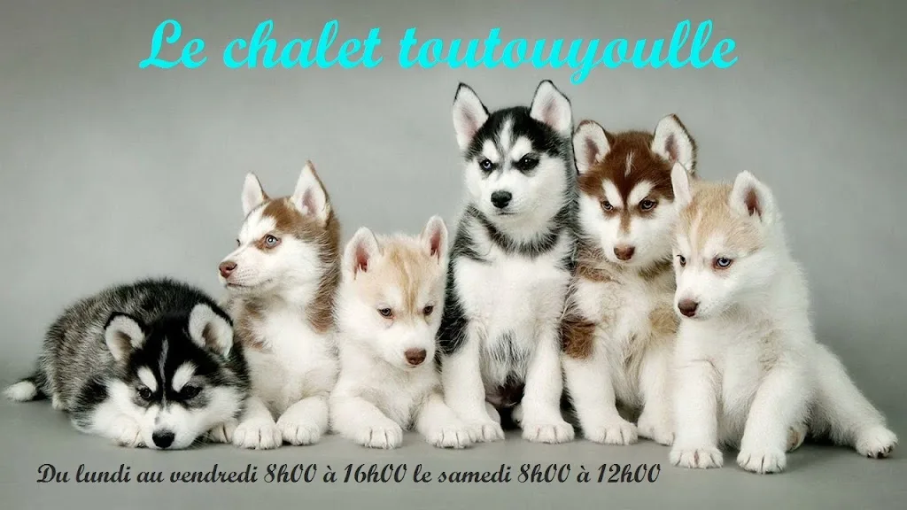 Le chalet toutouyoulle - photo 1