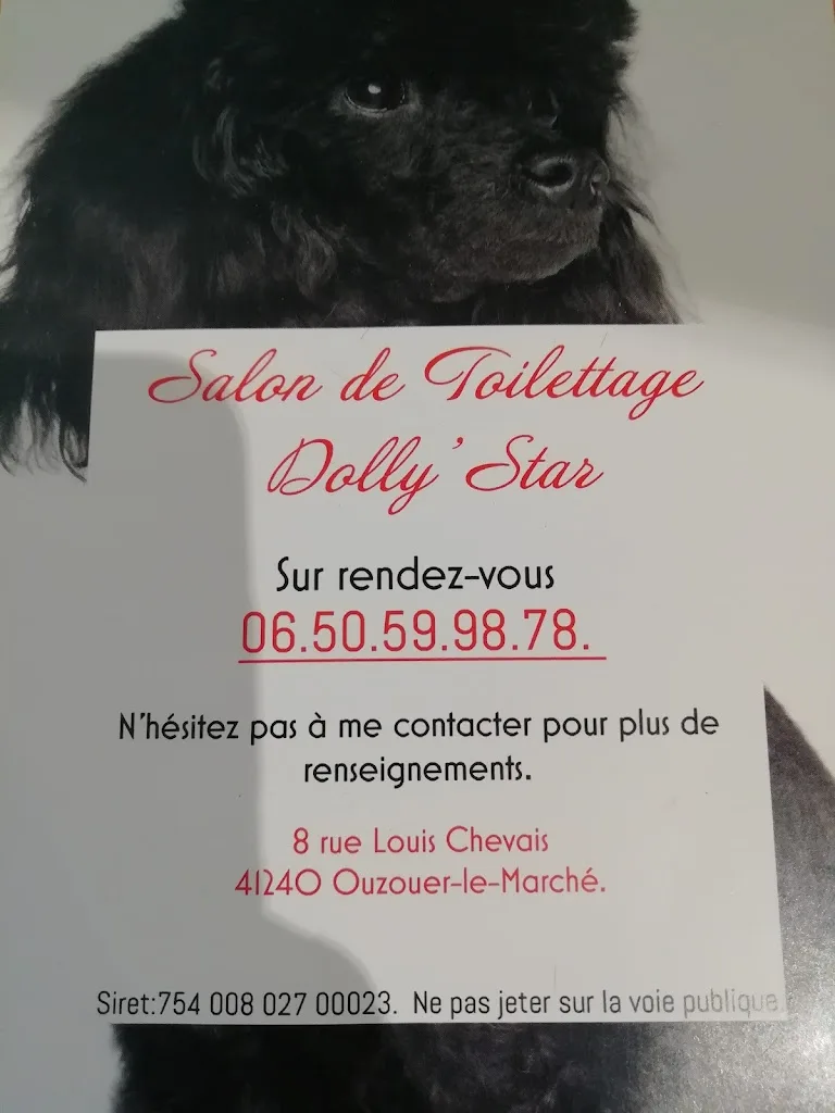 Dolly'star Salon de Toilettage - photo 1