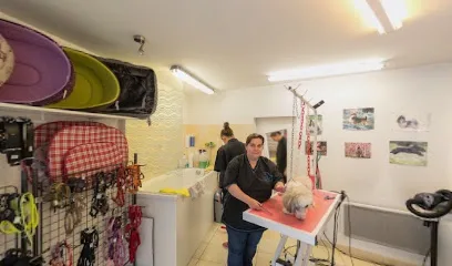 Frimousse - photo 2