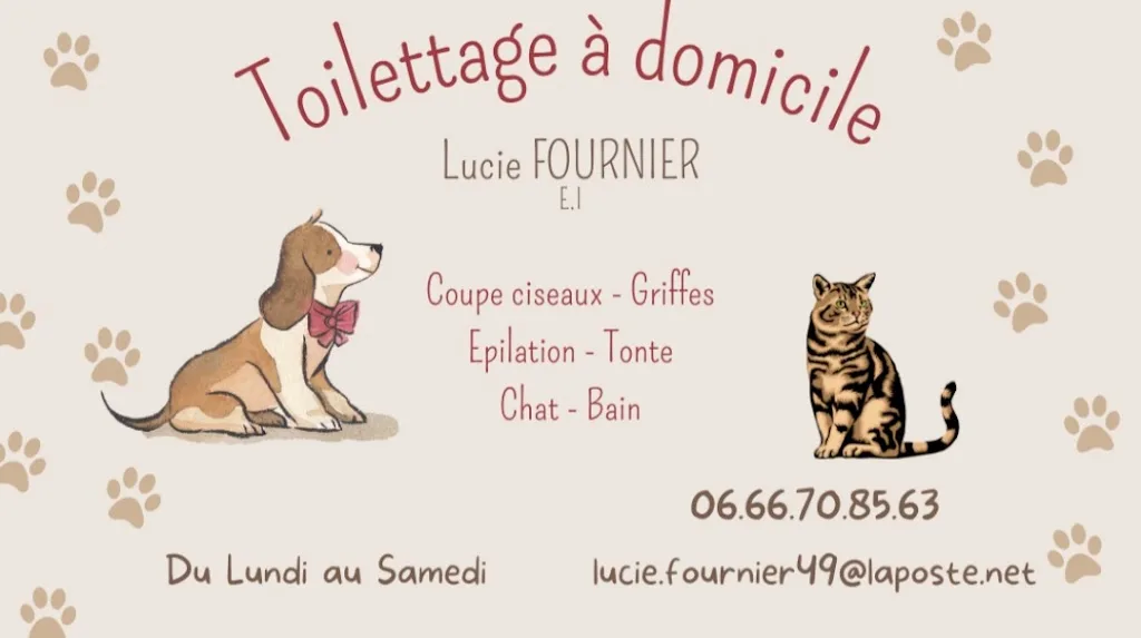 Au Poil Propre - photo 2