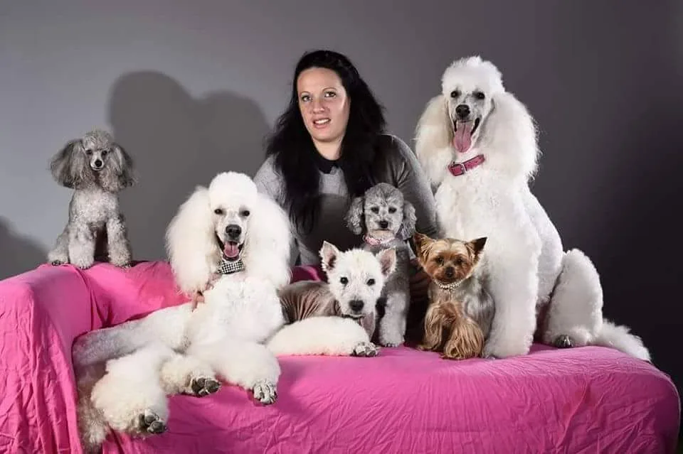 Class' canine - photo 1