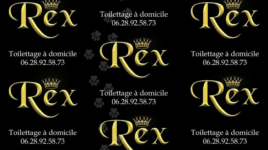 Rex Toilettage à domicile - photo 1